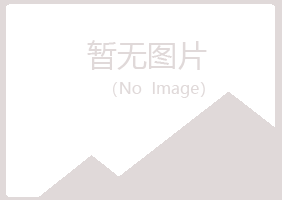 乌海盼夏计算机有限公司